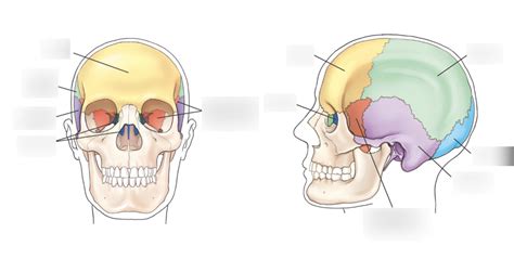 Image result for Cranium Command General Knowledge