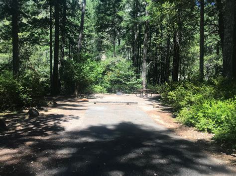 Panther Flat Campground | Gasquet, California