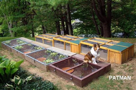 Image result for Box Turtle Homes