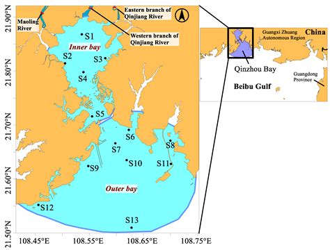 Anthropogenic Inputs Affect Phytoplankton Communities in a Subtropical ...