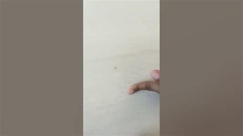 Image result for Tutorial How to Finger Beginner