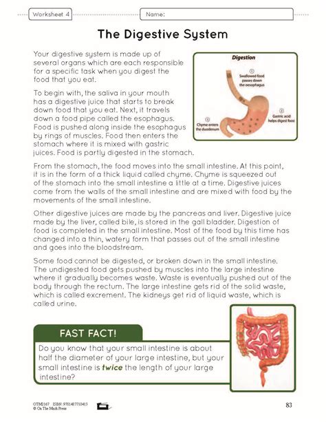 8th Grade Digestive System Worksheet Body Systems At Work E Lesson