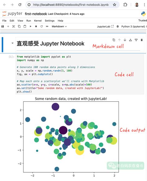 Python Notebook Terminology 的图像结果