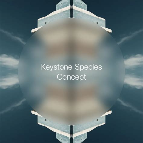 Species Interactions → Term