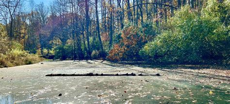 Nixon Park, Pennsylvania - 802 Reviews, Map | AllTrails