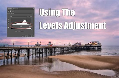 Image result for Affinity Software Tutorials