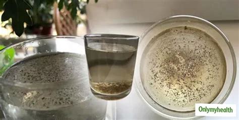 Drinking Warm Water With Black Pepper On An Empty Stomach Will Boost ...