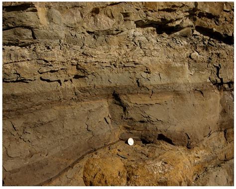 The Bakken Model: Deposition of Organic-Rich Mudstones and Petroleum ...