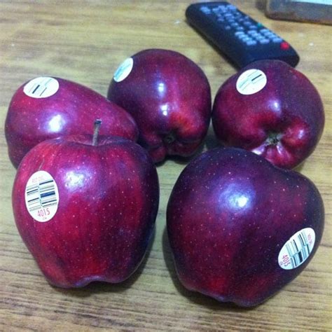 Verma Enterprises in Delhi, Serialization Serial Number Sticker ...