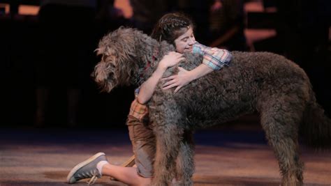 Because Of Winn Dixie Dog