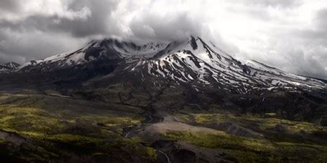 IUFRO - 2025 IUFRO Small Scale Forestry and Extension and Knowledge ...