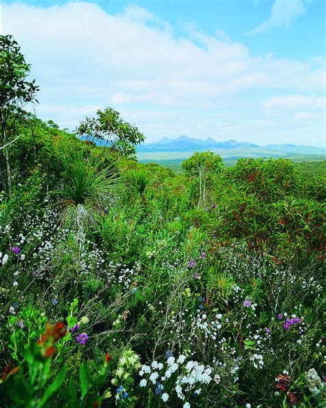 Tuesday Curatorial: South Coast Natural Resource Management – Fitz ...