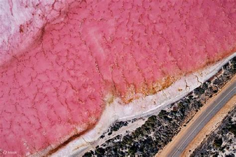 Pink Lake 4x4 Buggy Tour in Geraldton Tour - Klook India