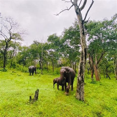 8 Stunning Viewpoints In And Around Ooty