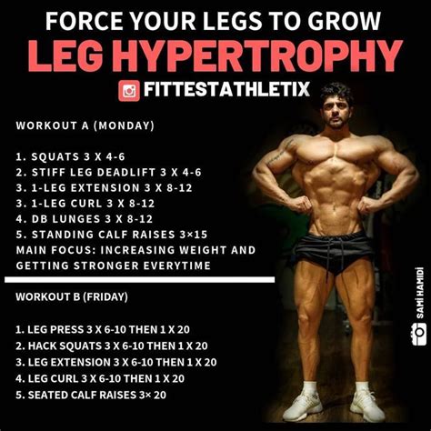 Leg Exercise 的图像结果