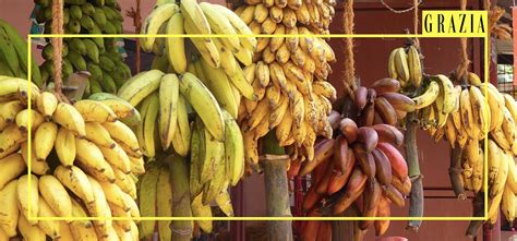 Bananas: Nutrition Source, Types and Health Benefits | Grazia India