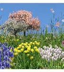 Image result for Desktop Wallpaper Spring Bunnies