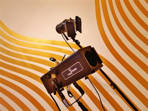 Sylvie Fleury at Salon 94, New York - purple ART