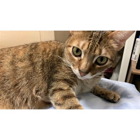 n8 jackpot payout,With the rise of mobile gaming