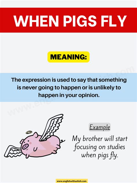 WHEN PIGS FLY meaning and examples (with infographics)