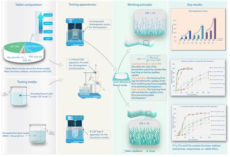 Food Effect and Formulation: How Soluble Fillers Affect the ...