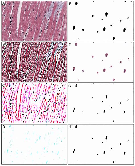 Image result for Image Processing Sample Images