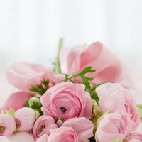 Pate - Jones Funeral Home Obituaries