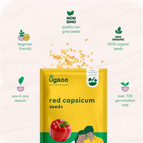 Red Capsicum Seeds – Ugaoo