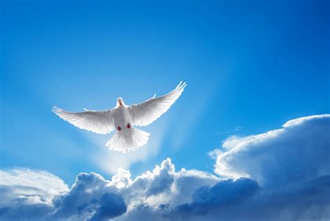 What Does It Mean to Be a Born Again Christian?