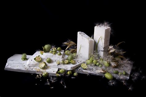 Emily Thompson Flowers – Emily Thompson Flowers