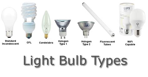Image result for Types of Light Bulbs Explained