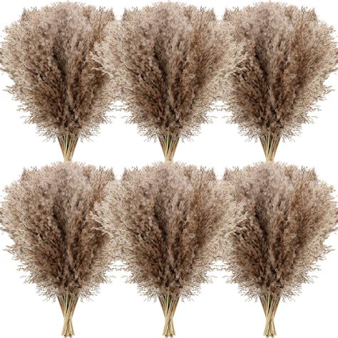 Buy Janinka 100 Pcs Dried Pampas Grass Decor 17 Inch Bulk Natural Small ...