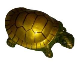 Pollikaree Table Turtle : Amazon.in: Home & Kitchen