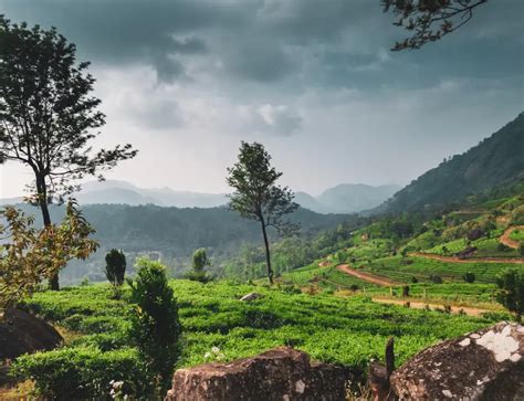 Kerala Backwaters Tour Packages: Grab The Best Deals