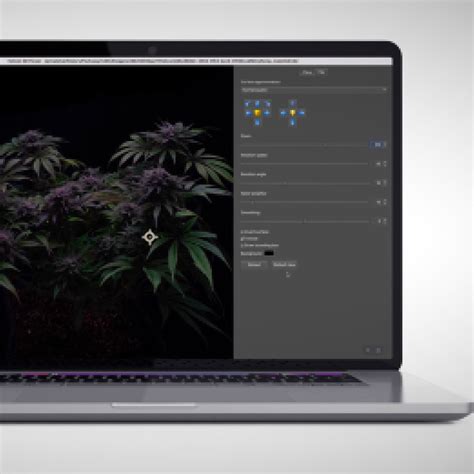 Image result for Focus Stacking Tutorial