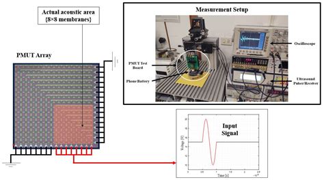 Efficient Modeling and Simulation of PMUT Arrays in Various Ambients