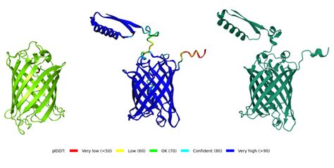 Alphafold2 Explained 的图像结果
