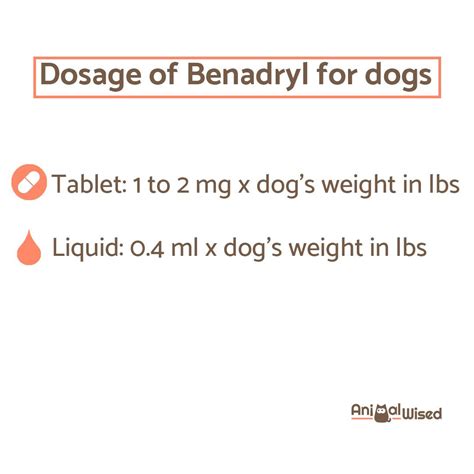 Benadryl for Dogs: Guide for Dosage, Side Effects and Safety