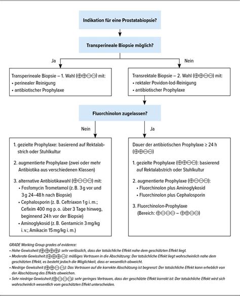 Infektprophylaxe bei der Prostatabiopsie - Urologie & Andrologie ...