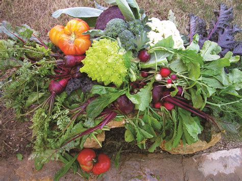 Image result for Mini Snap Berkeley Projects