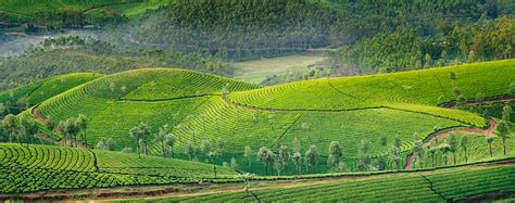 Revenue Smart Office - Village website