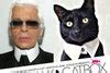 Catwalk to catbox: Fashionistas and the felines they look like | Vogue ...