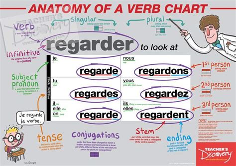 Buy Teacher's Discovery Anatomy of a Verb Chart French Online at ...
