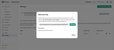 Openai API Key Entry Python 的图像结果
