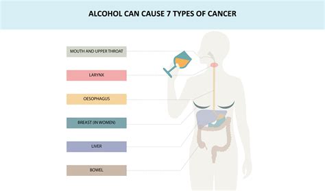 7 Sobering Facts About Alcohol’s Link to Cancer | Phelps Health