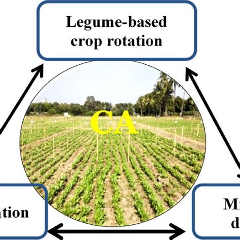 Image result for 5 Components Interlinked