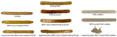 Thermoreversible Cross-Linking of Furan-Containing Ethylene/Vinyl ...