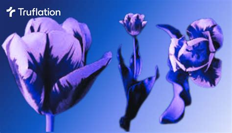 data feature display