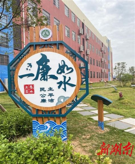 岳阳县第一中学集英学校：党建+，串起名校发展的闪亮珍珠 - 教育资讯 - 新湖南