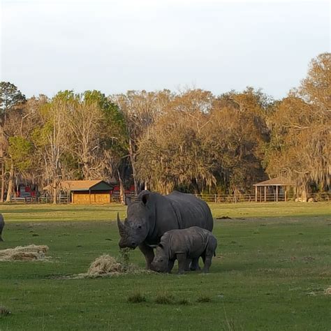 Visit Yulee: 2026 Travel Guide for Yulee, Jacksonville | Expedia